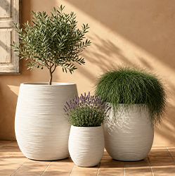 Fiber Cement Planters
