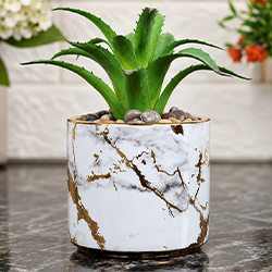Imported Ceramic