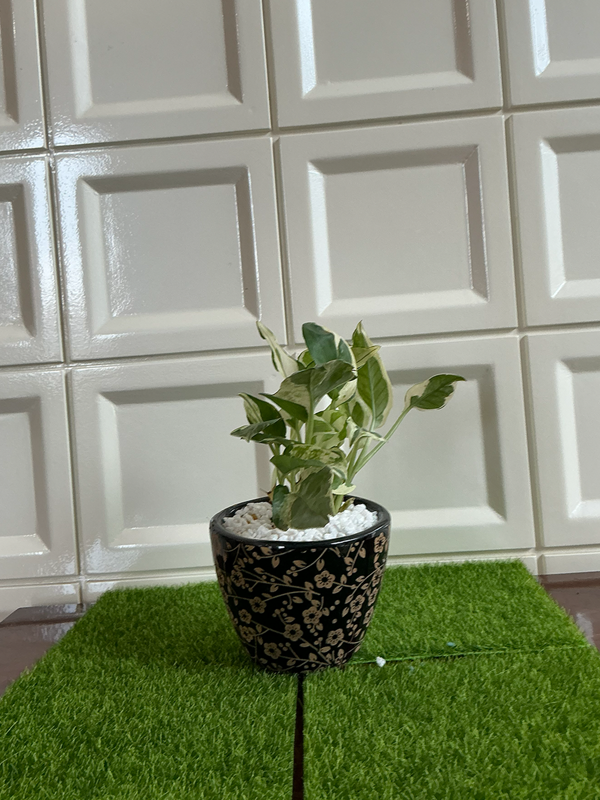Black Gold Floral Ceramic Planter