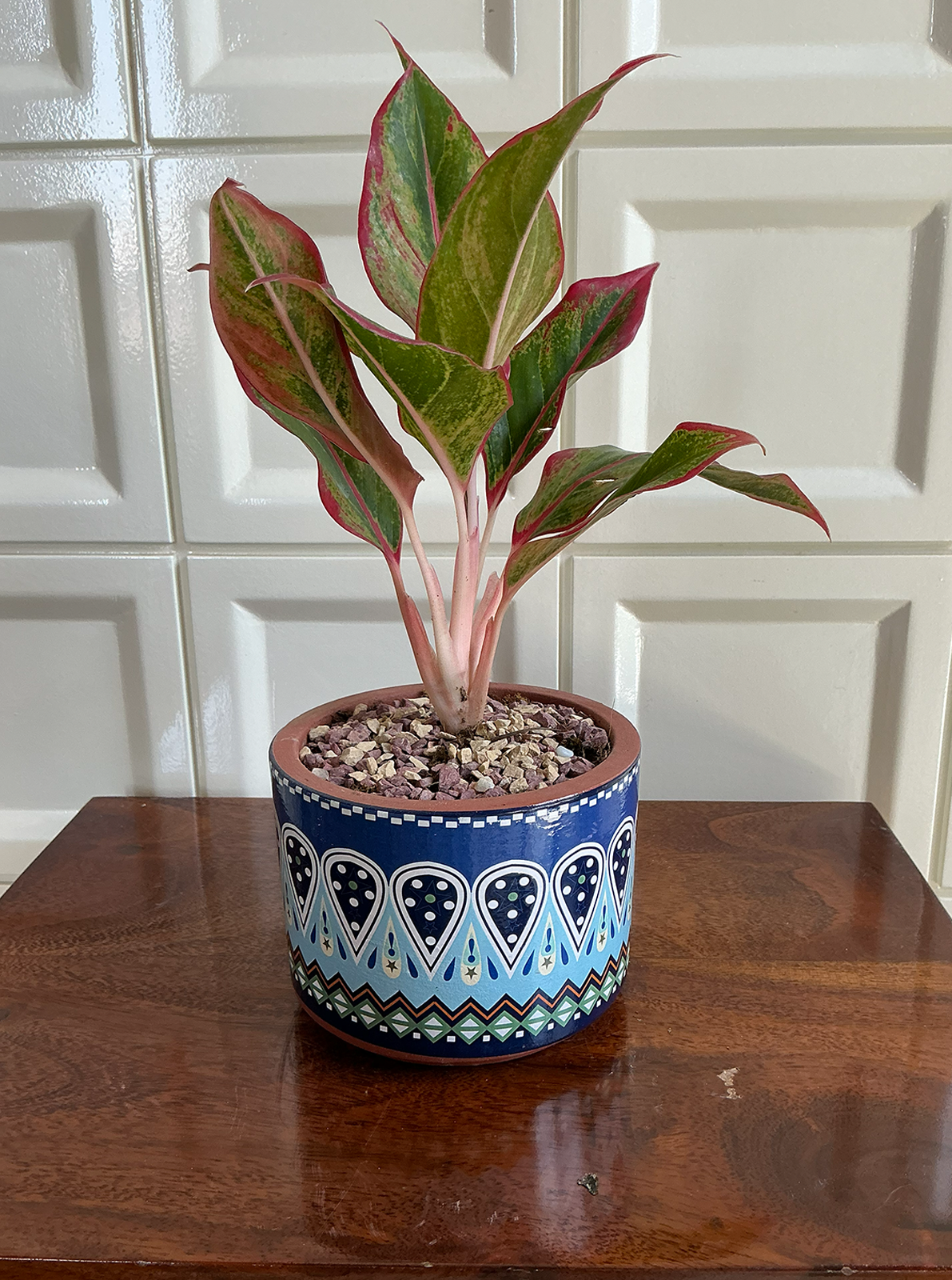 Blue Patterned Terracotta Planter