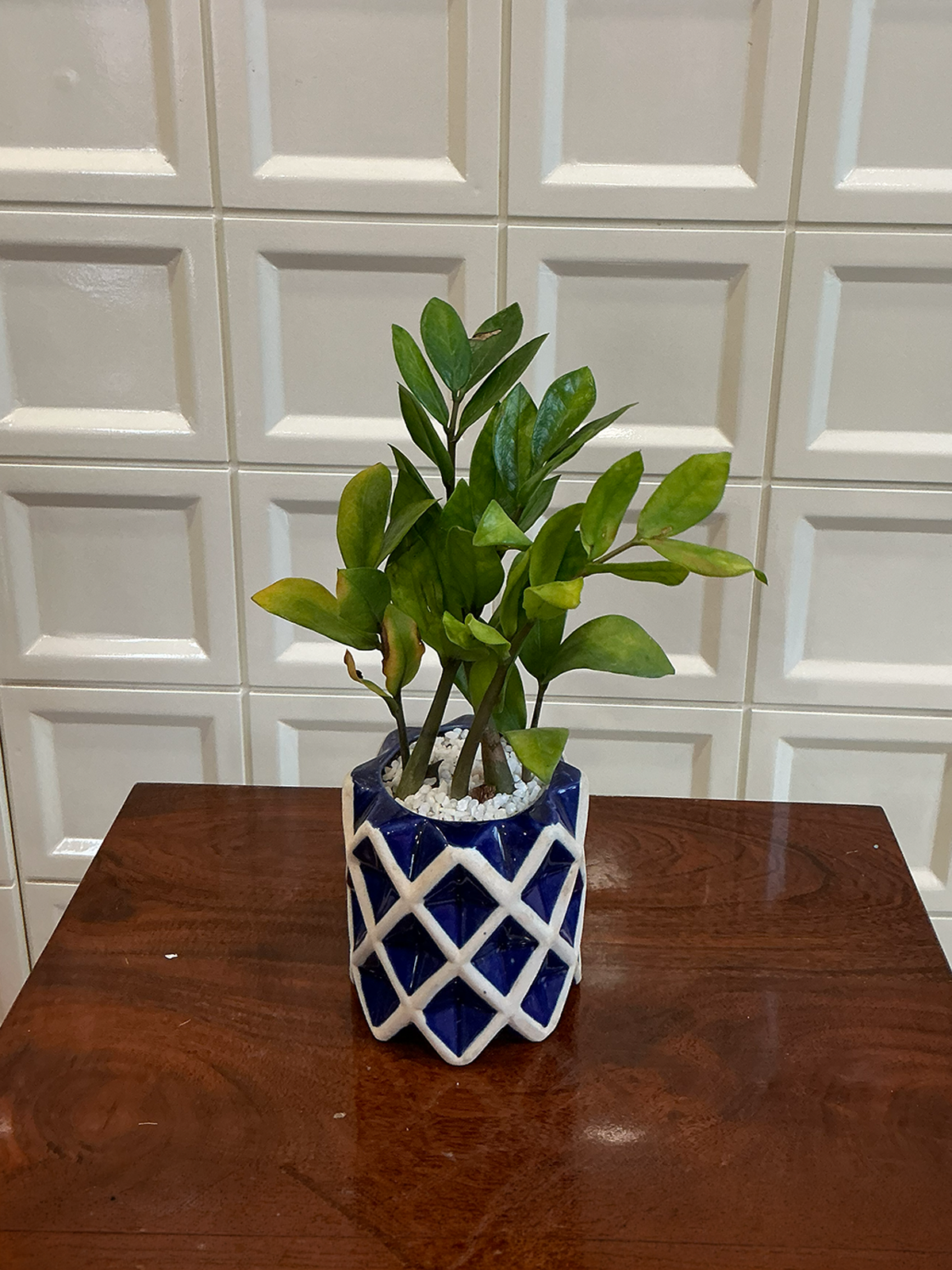 Blue Diamond Pattern Ceramic Planter