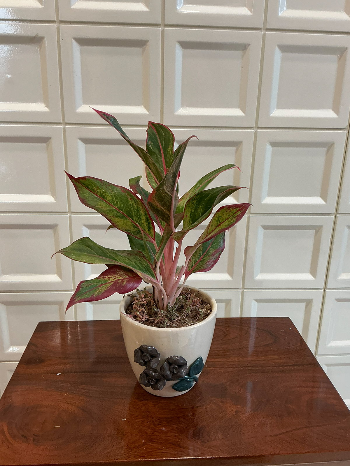 Cream & Charcoal Floral Ceramic Planter
