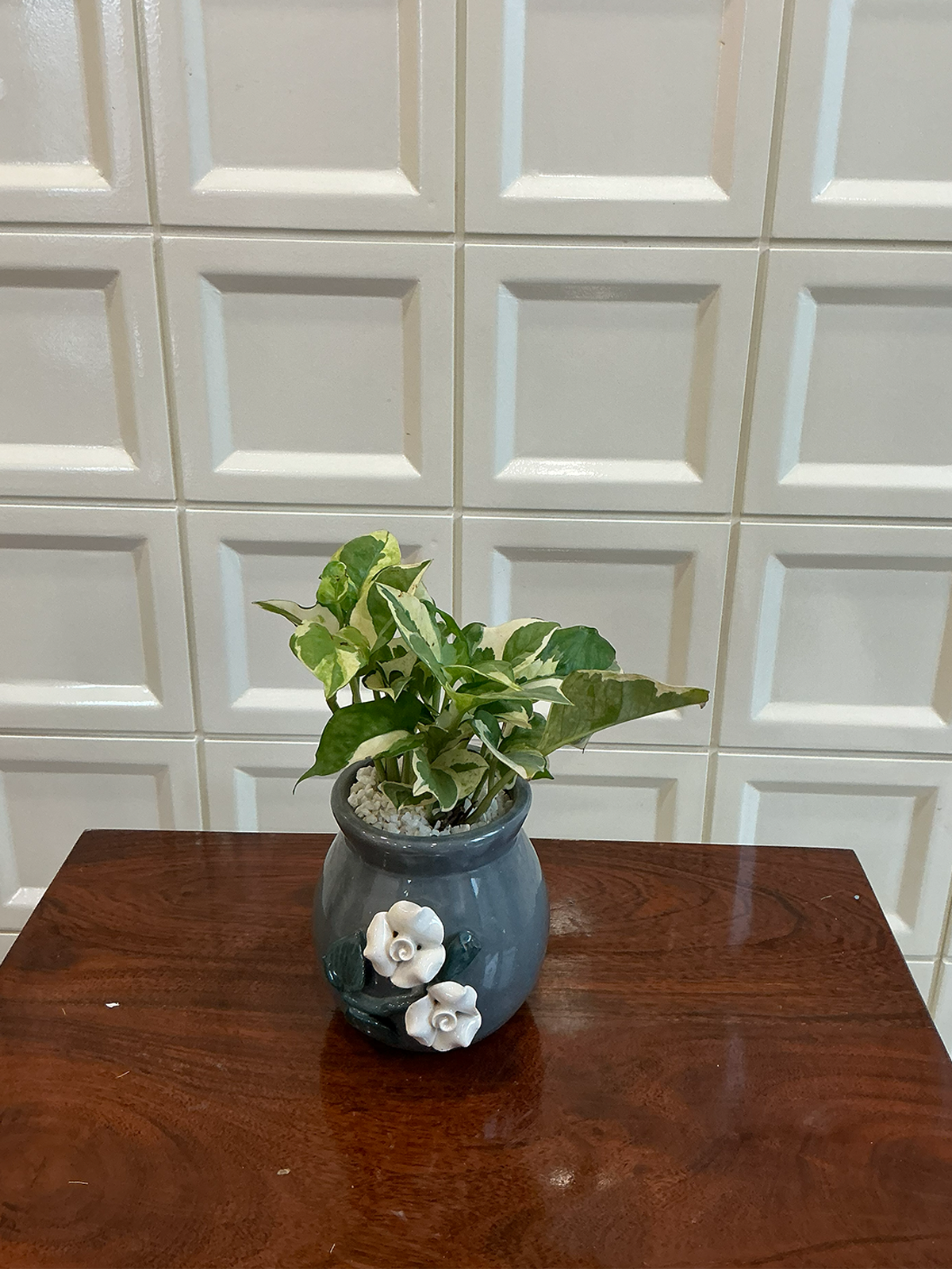 Grey Floral Ceramic Planter