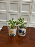 Handcrafted Floral Ceramic Planter Set