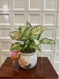 Ivory Floral Ceramic Planter