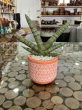 Leaf Pattern Terracotta Planter