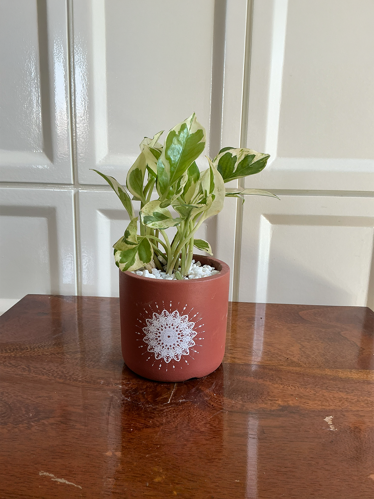 Mandala Terracotta Planter