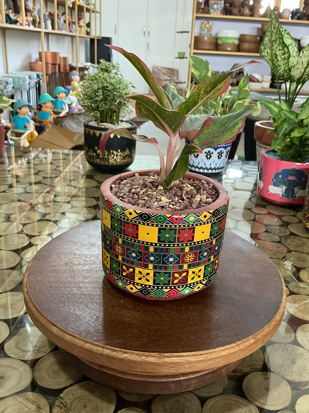 Multicolour Patterned Terracotta Planter
