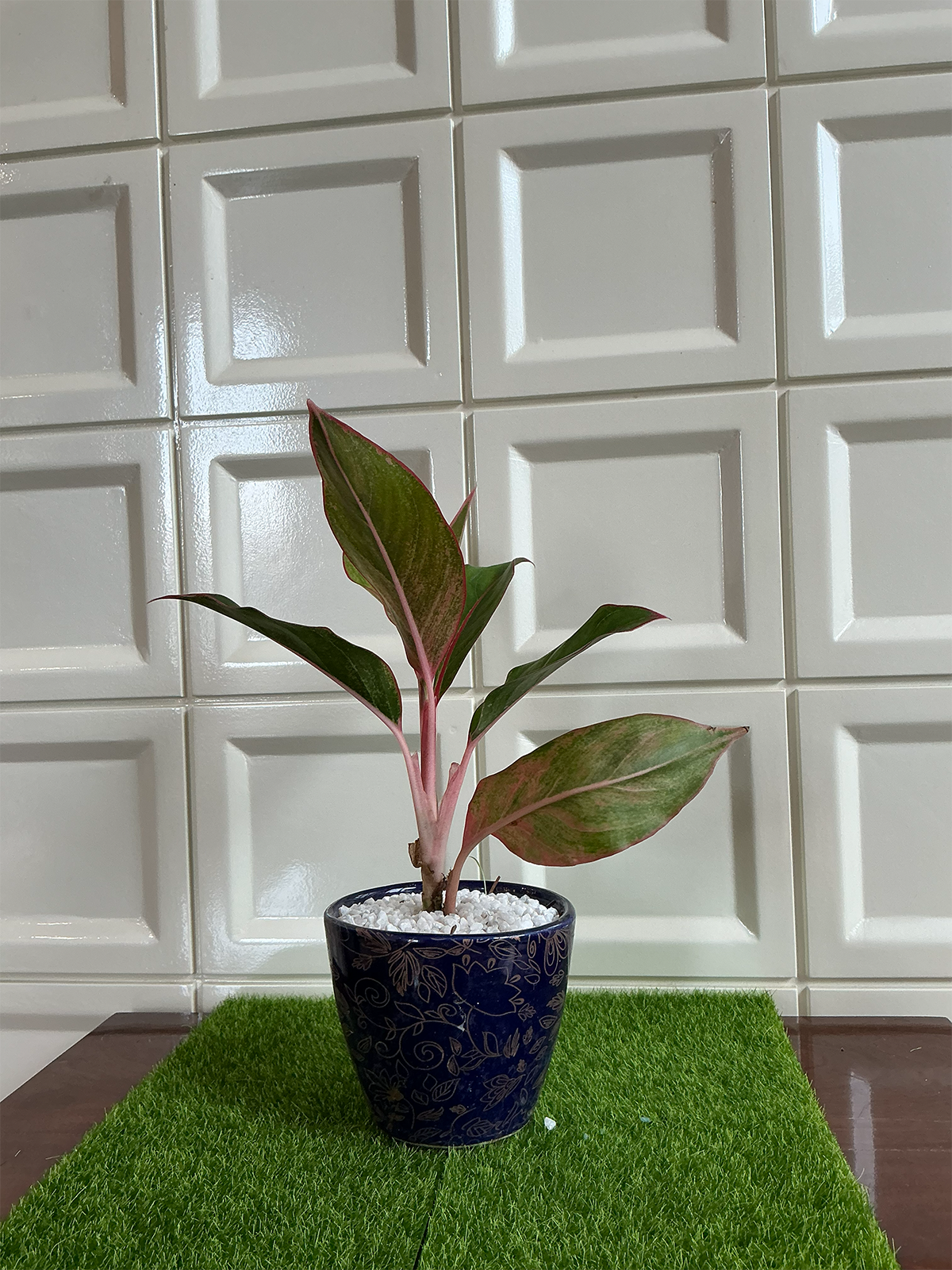 Navy Floral Ceramic Planter