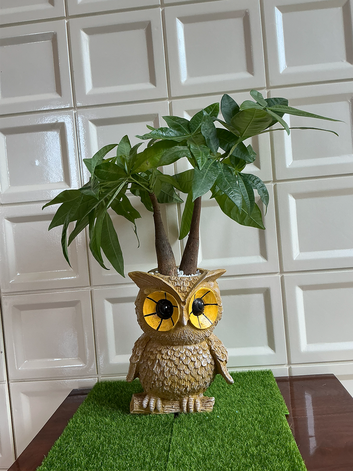 Owl Resin Planter