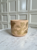 Palm Planter