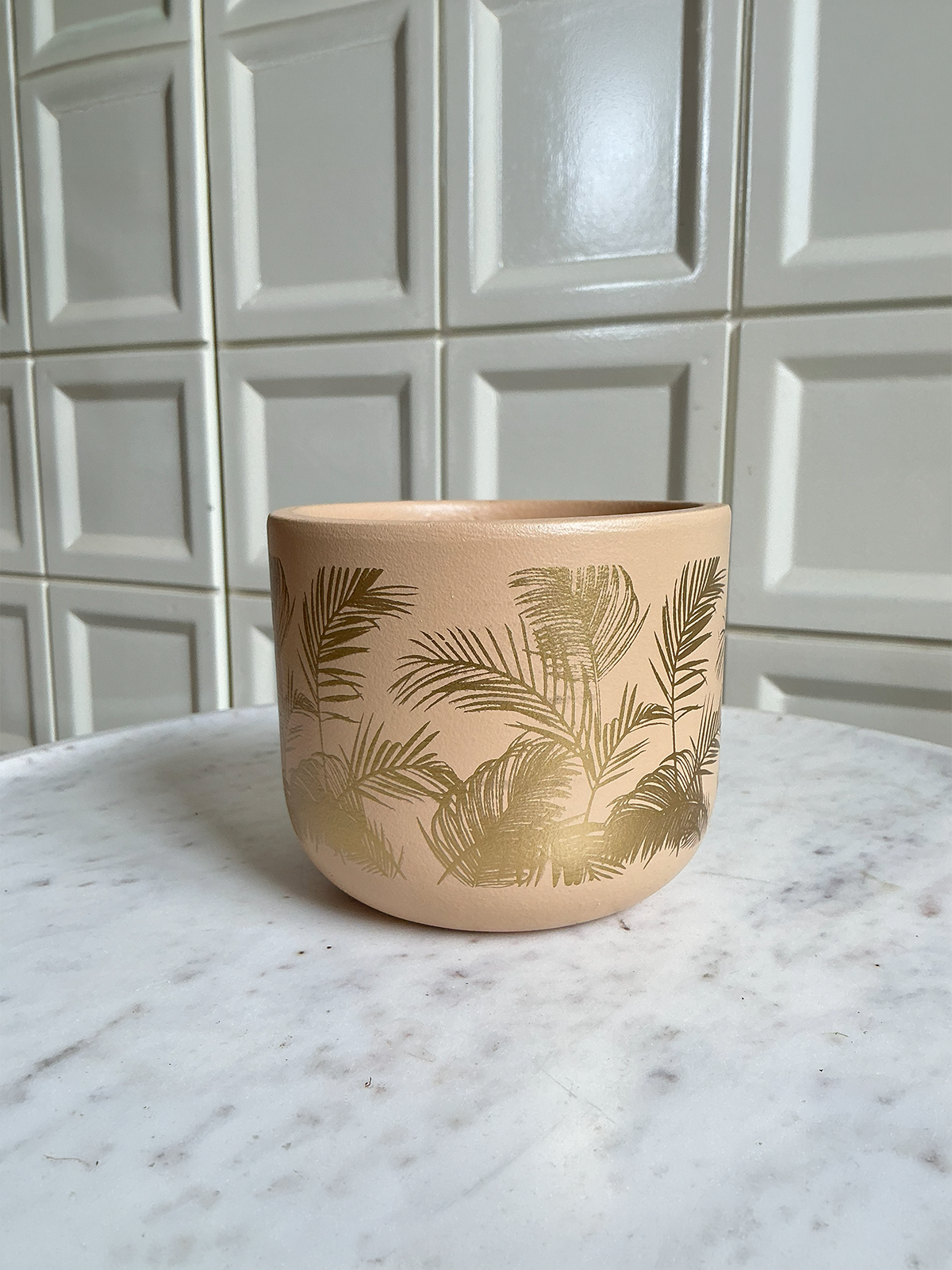Palm Planter