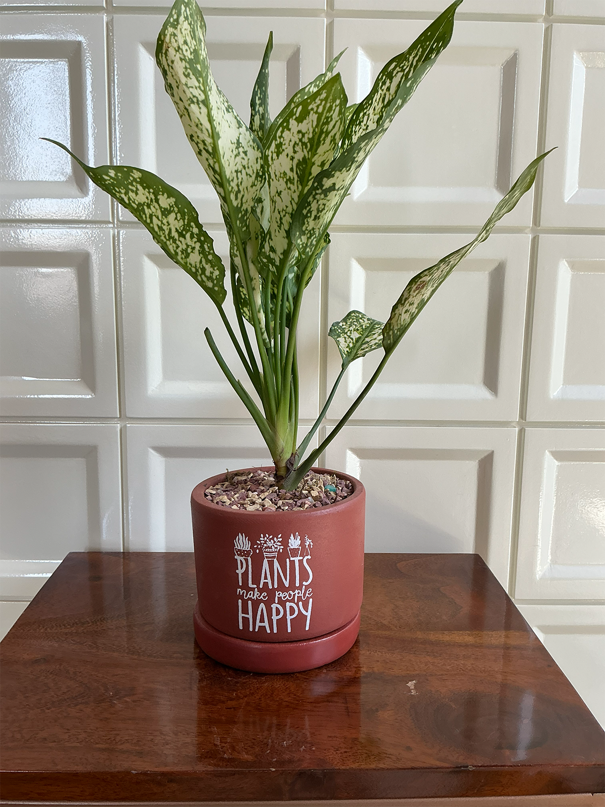 Terracotta Planter