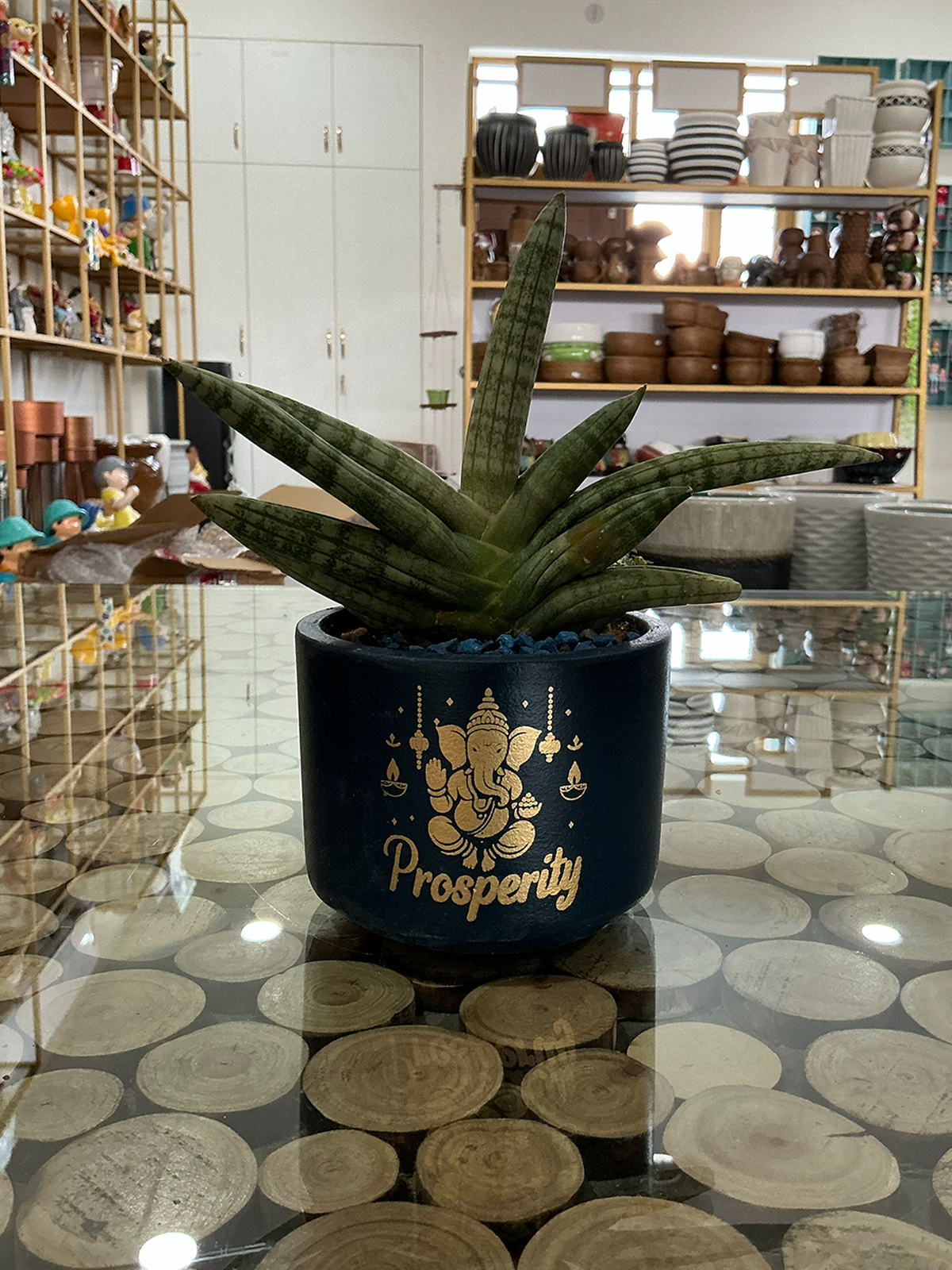Prosperity Black Terracotta Planter