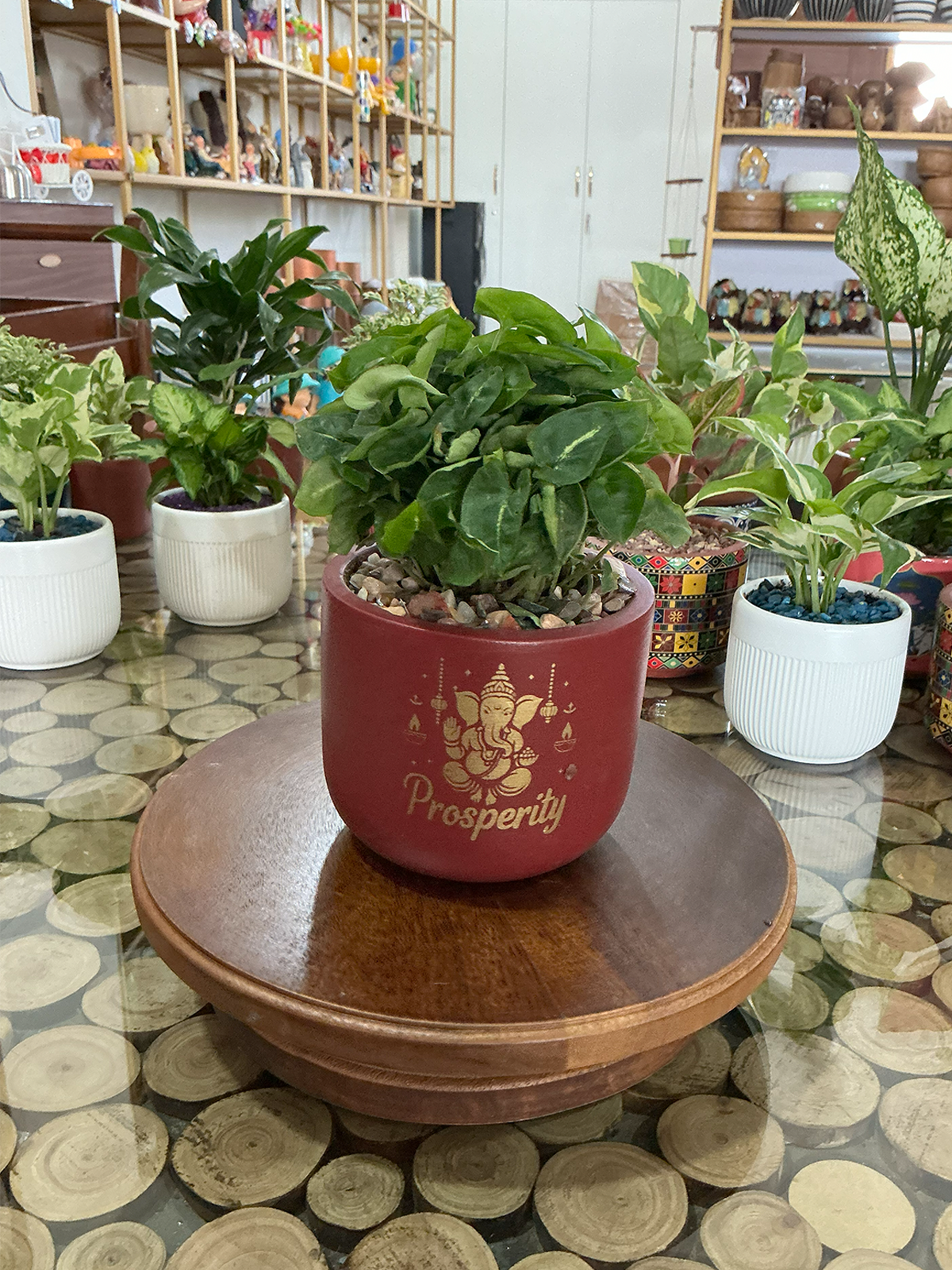 Prosperity Terracotta Planter