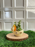Royal Lion Resin Planter