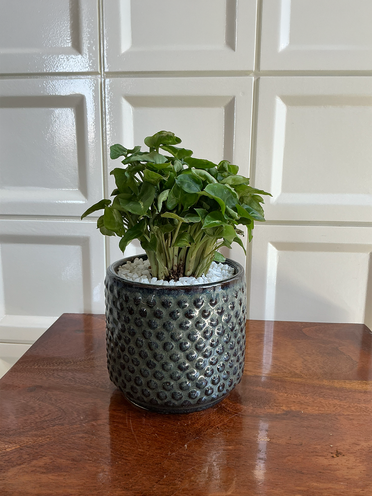 Textured Dark Ceramic Planter